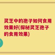 灵芝中的孢子如何食用效果好(探秘灵芝孢子的食用效果)