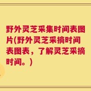 野外灵芝采集时间表图片(野外灵芝采摘时间表图表，了解灵芝采摘时间。)