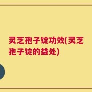 灵芝孢子锭功效(灵芝孢子锭的益处)