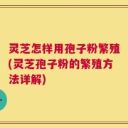 灵芝怎样用孢子粉繁殖(灵芝孢子粉的繁殖方法详解)