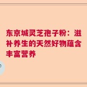 东京城灵芝孢子粉：滋补养生的天然好物蕴含丰富营养