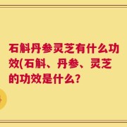 石斛丹参灵芝有什么功效(石斛、丹参、灵芝的功效是什么？