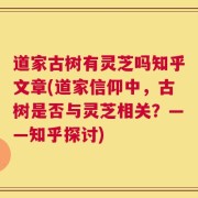 道家古树有灵芝吗知乎文章(道家信仰中，古树是否与灵芝相关？——知乎探讨)