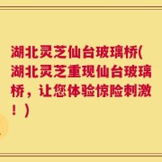 湖北灵芝仙台玻璃桥(湖北灵芝重现仙台玻璃桥，让您体验惊险刺激！)