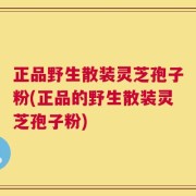 正品野生散装灵芝孢子粉(正品的野生散装灵芝孢子粉)