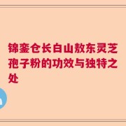 锦銮仓长白山敖东灵芝孢子粉的功效与独特之处