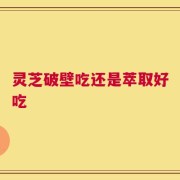 灵芝破壁吃还是萃取好吃