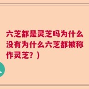 六芝都是灵芝吗为什么没有为什么六芝都被称作灵芝？)