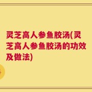 灵芝高人参鱼胶汤(灵芝高人参鱼胶汤的功效及做法)