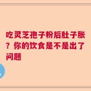 吃灵芝孢子粉后肚子胀？你的饮食是不是出了问题