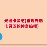 光遇卡灵芝(重现光遇卡灵芝的神奇旅程)