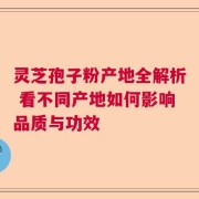 灵芝孢子粉产地全解析 看不同产地如何影响品质与功效