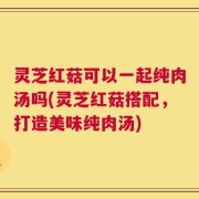 灵芝红菇可以一起纯肉汤吗(灵芝红菇搭配，打造美味纯肉汤)