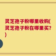 灵芝孢子粉哪里收购(灵芝孢子粉在哪里买？)