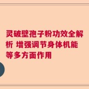 灵破壁孢子粉功效全解析 增强调节身体机能等多方面作用