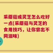 采蘑菇或灵芝怎么吃好一点(采蘑菇与灵芝的食用技巧，让你尝出不同滋味)