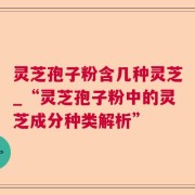 灵芝孢子粉含几种灵芝_“灵芝孢子粉中的灵芝成分种类解析”