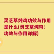 灵芝草炖鸡功效与作用是什么(灵芝草炖鸡：功效与作用详解)