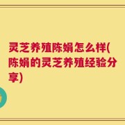 灵芝养殖陈娟怎么样(陈娟的灵芝养殖经验分享)