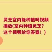 灵芝室内能种植吗视频播放(室内种植灵芝？这个视频给你答案！)