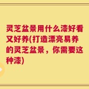 灵芝盆景用什么漆好看又好养(打造漂亮易养的灵芝盆景，你需要这种漆)