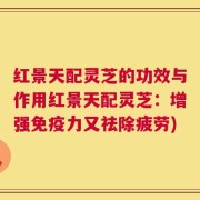 红景天配灵芝的功效与作用红景天配灵芝：增强免疫力又祛除疲劳)