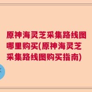 原神海灵芝采集路线图哪里购买(原神海灵芝采集路线图购买指南)