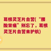 葛根灵芝片自营(“腰酸背痛”别忘了，葛根灵芝片自营来护航)