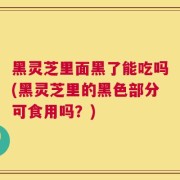 黑灵芝里面黑了能吃吗(黑灵芝里的黑色部分可食用吗？)