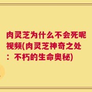 肉灵芝为什么不会死呢视频(肉灵芝神奇之处：不朽的生命奥秘)