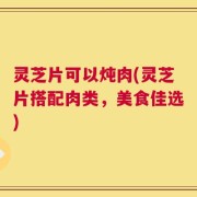 灵芝片可以炖肉(灵芝片搭配肉类，美食佳选)