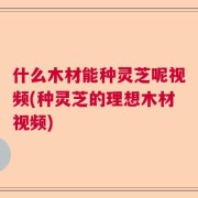 什么木材能种灵芝呢视频(种灵芝的理想木材视频)