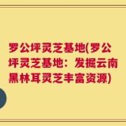 罗公坪灵芝基地(罗公坪灵芝基地：发掘云南黑林耳灵芝丰富资源)