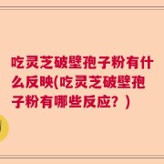 吃灵芝破壁孢子粉有什么反映(吃灵芝破壁孢子粉有哪些反应？)