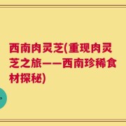 西南肉灵芝(重现肉灵芝之旅——西南珍稀食材探秘)