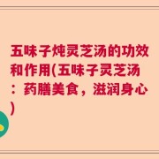 五味子炖灵芝汤的功效和作用(五味子灵芝汤：药膳美食，滋润身心)