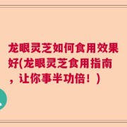 龙眼灵芝如何食用效果好(龙眼灵芝食用指南，让你事半功倍！)
