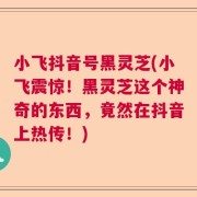 小飞抖音号黑灵芝(小飞震惊！黑灵芝这个神奇的东西，竟然在抖音上热传！)
