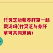 竹灵芝能和养肝草一起煲汤吗(竹灵芝与养肝草可共同煮汤)