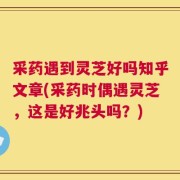 采药遇到灵芝好吗知乎文章(采药时偶遇灵芝，这是好兆头吗？)