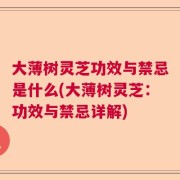 大薄树灵芝功效与禁忌是什么(大薄树灵芝：功效与禁忌详解)