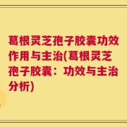 葛根灵芝孢子胶囊功效作用与主治(葛根灵芝孢子胶囊：功效与主治分析)