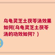 乌龟灵芝土茯苓汤效果如何(乌龟灵芝土茯苓汤的功效如何？)
