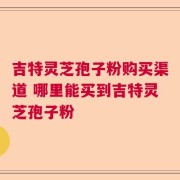 吉特灵芝孢子粉购买渠道 哪里能买到吉特灵芝孢子粉