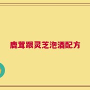 鹿茸跟灵芝泡酒配方