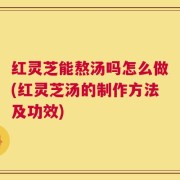红灵芝能熬汤吗怎么做(红灵芝汤的制作方法及功效)