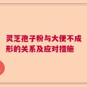 灵芝孢子粉与大便不成形的关系及应对措施