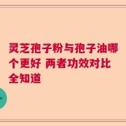 灵芝孢子粉与孢子油哪个更好 两者功效对比全知道