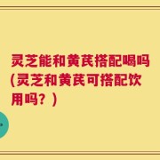 灵芝能和黄芪搭配喝吗(灵芝和黄芪可搭配饮用吗？)
