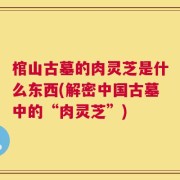 棺山古墓的肉灵芝是什么东西(解密中国古墓中的“肉灵芝”)